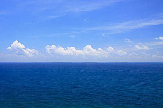 cầu bạch thủ long an