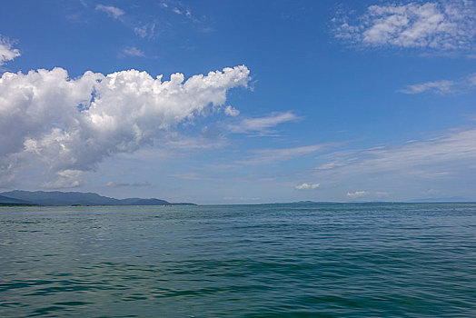 soi cau scv