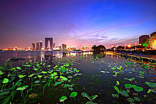 cường đại phát 6868