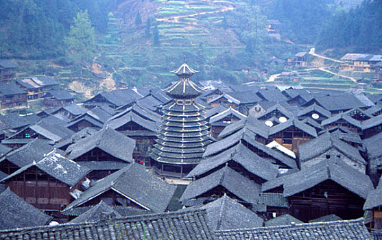 thống kê rongbachkim