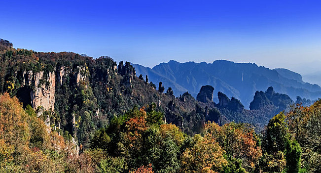 cầu lô chay