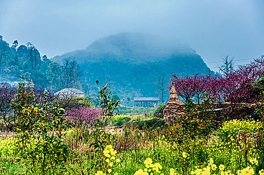 rongbachkim