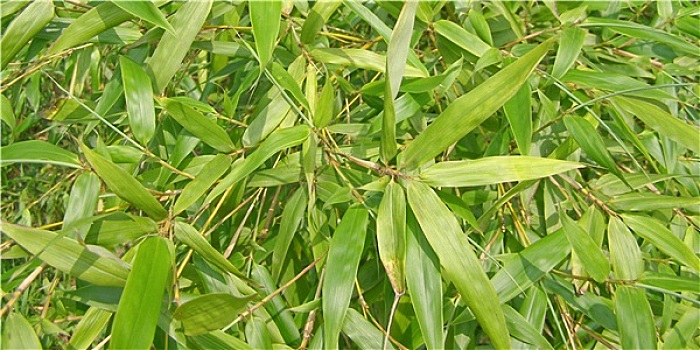 xsmb theo tuần