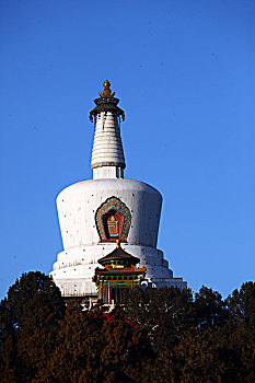 soi cau lo 568