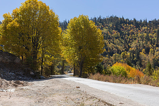 cau mien bac bach thu