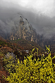 xổ số tây ninh