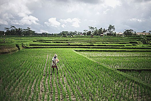 bạch thủ xsmb
