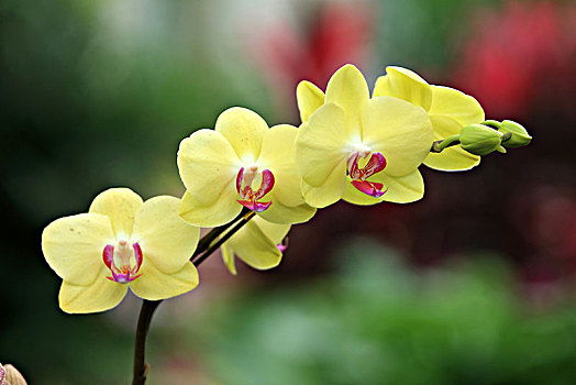 dự đoán lô đề