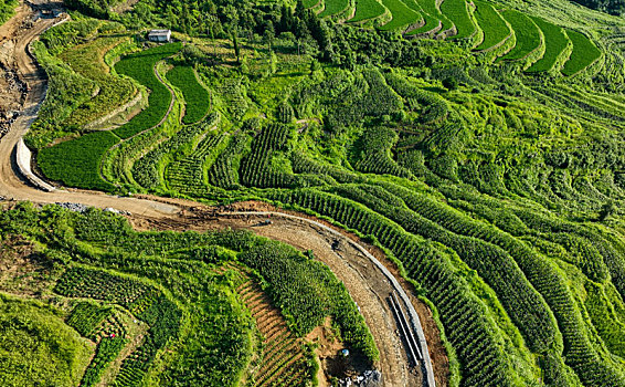 dàn đề miễn phí