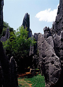www soi cau bach thu