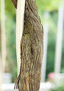 dự đoán lô đề miền nam