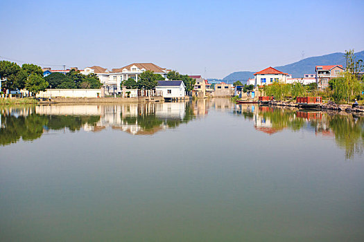 xstd rong bach kim