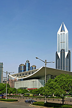 soi cau 24