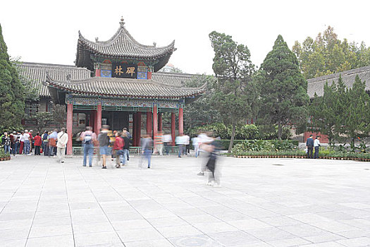 thong ke mien bac