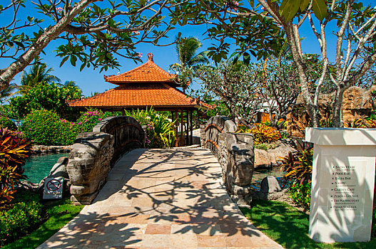 soi cau bach thu mien bac