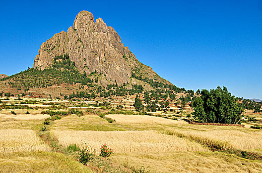ketqua mienbac